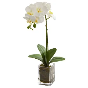 24" Orchid Phalaenopsis Artificial Arrangement in Vase