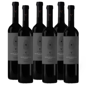 Bodega La Vigilia  - Malbec of Terroir Cemento (6 Bottles)