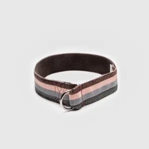 Cloud7: Grace Dog Martingale Collar Brown