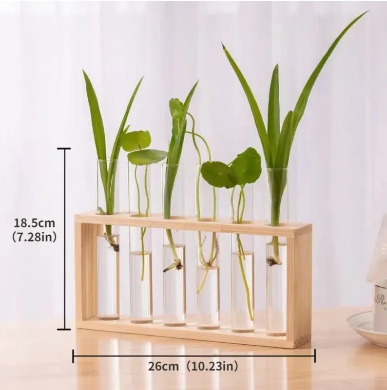 Wooden Glass Test Tube Flower Vases