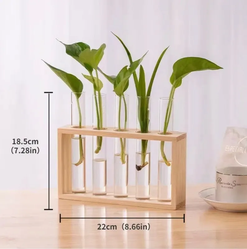 Wooden Glass Test Tube Flower Vases